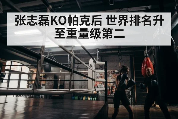 boxer training