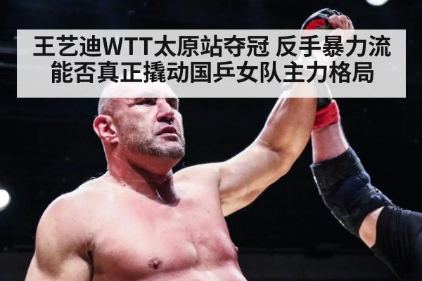 王艺迪WTT太原站夺冠 反手暴力流能否真正撬动国乒女队主力格局